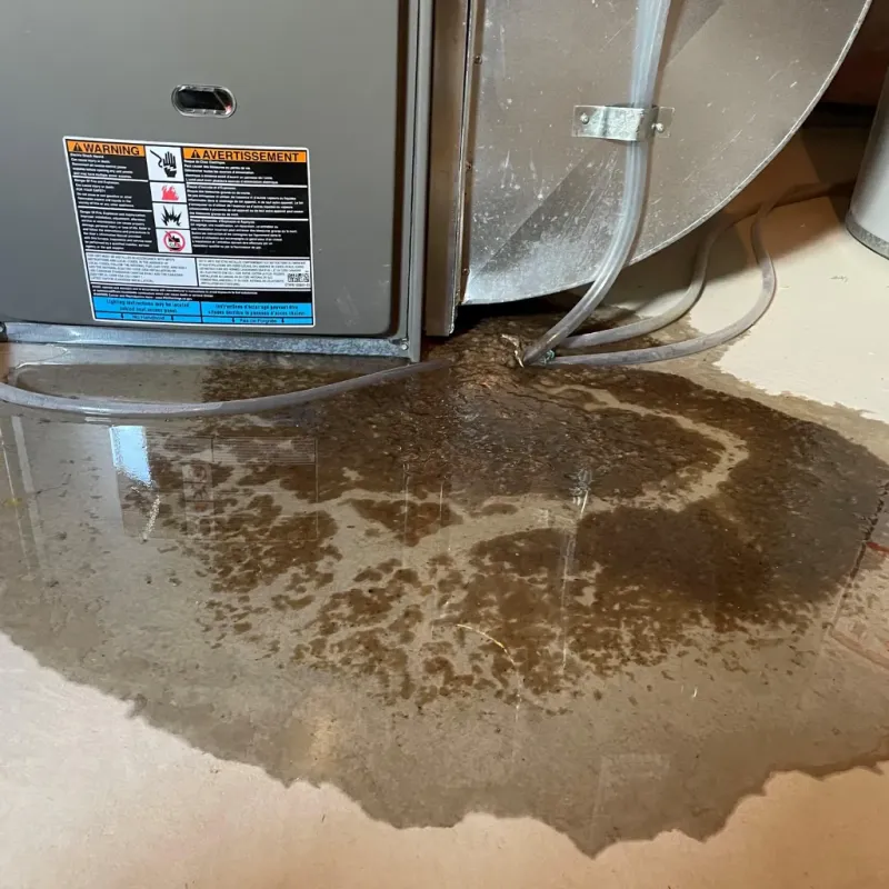 Appliance Leak Cleanup in Tillmans Corner, AL